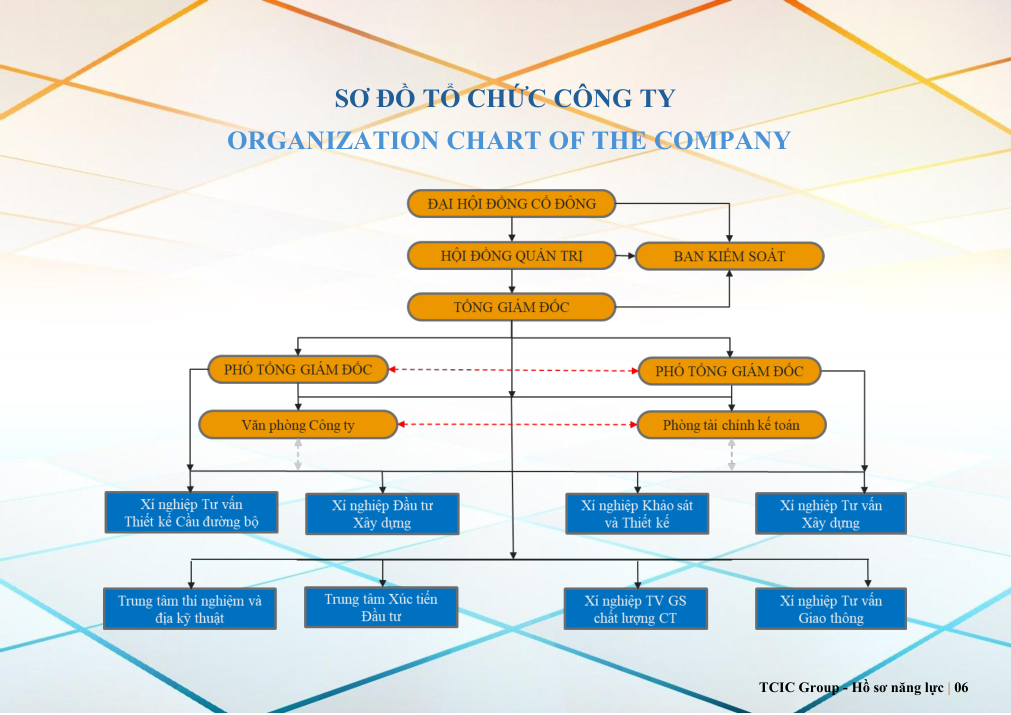 Sơ đồ tổ chức công ty TCIC Group